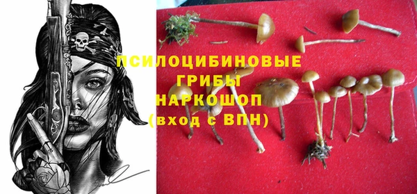 дживик Аркадак