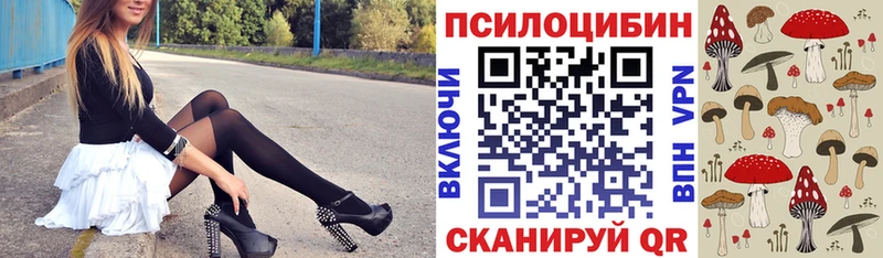 ОМГ ОМГ ТОР  Окуловка  Галлюциногенные грибы Psilocybine cubensis 
